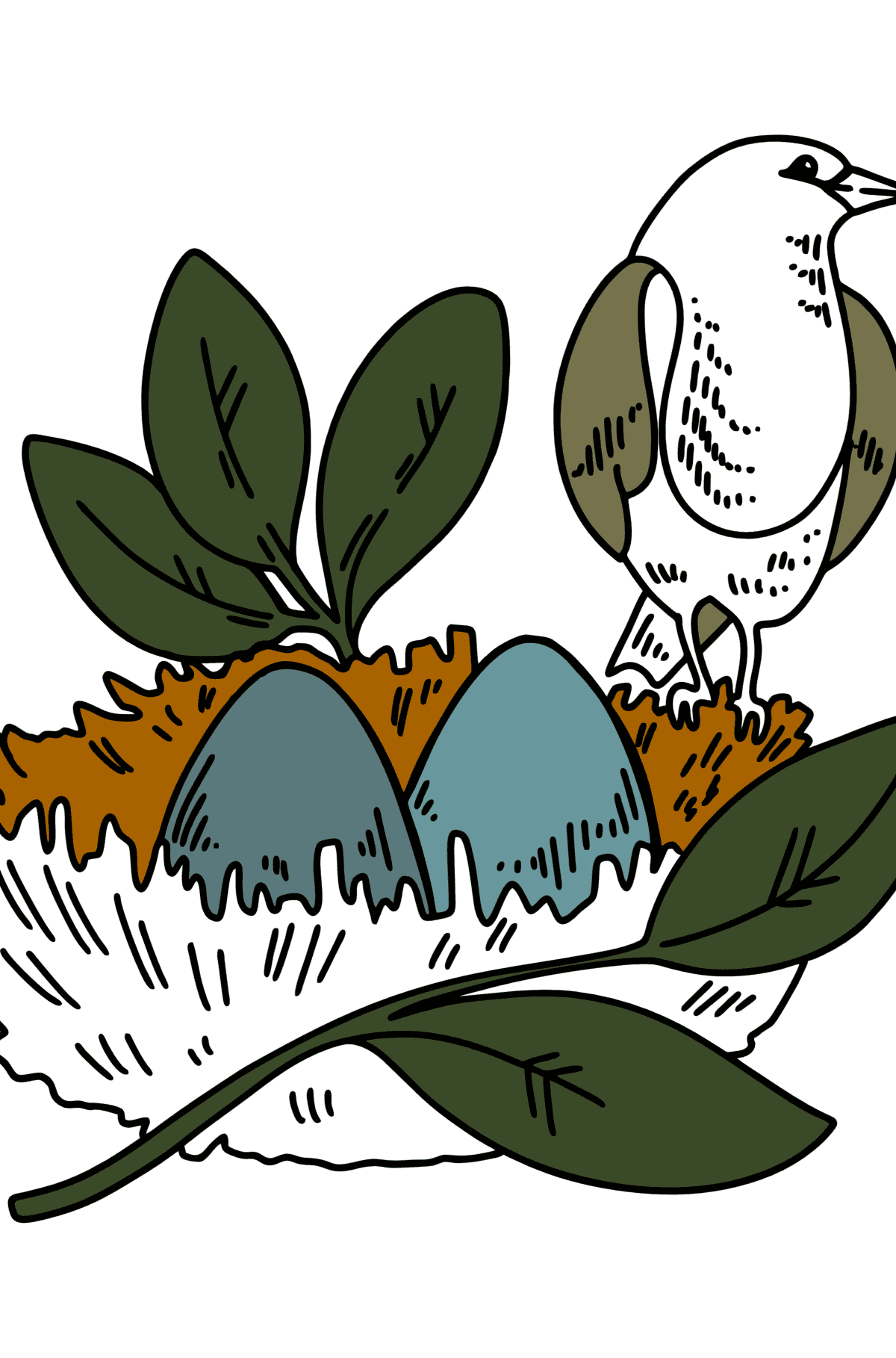 Раскраска - гнездо дрозда - Картинки для Детей
