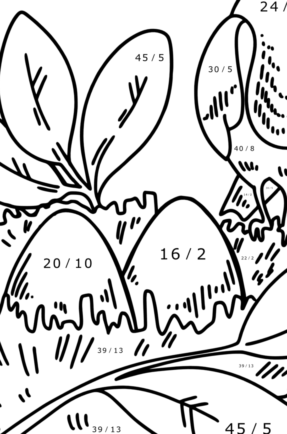Coloring page - Thrush Nest - Math Coloring - Division for Kids