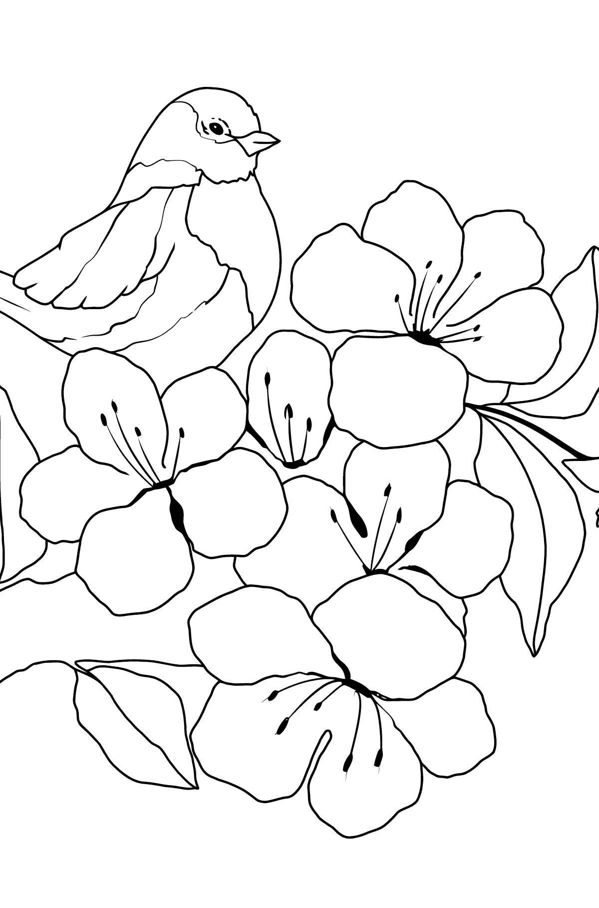 Bird coloring page for kids - Coloring Pages for Kids