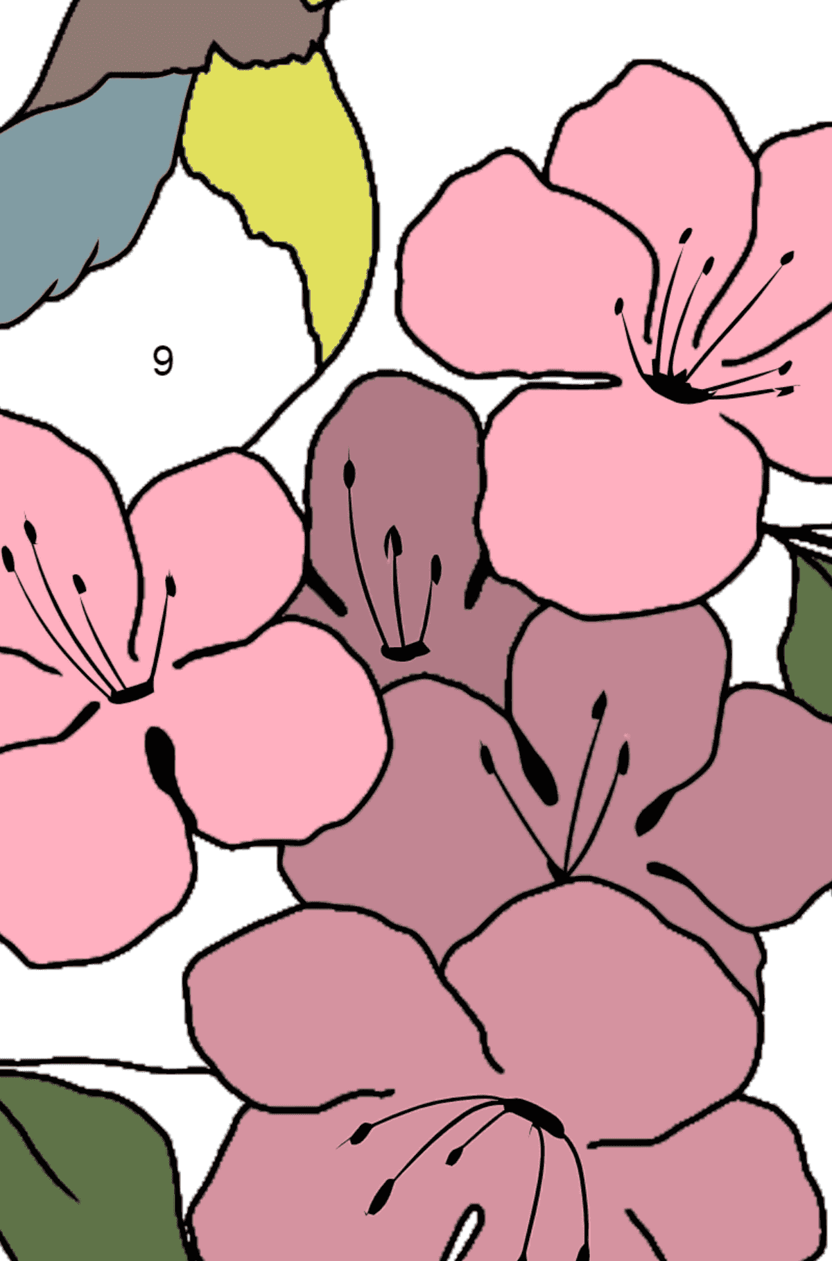 Letnia kolorystyka - ptak - Koloruj według numerów dla dzieci