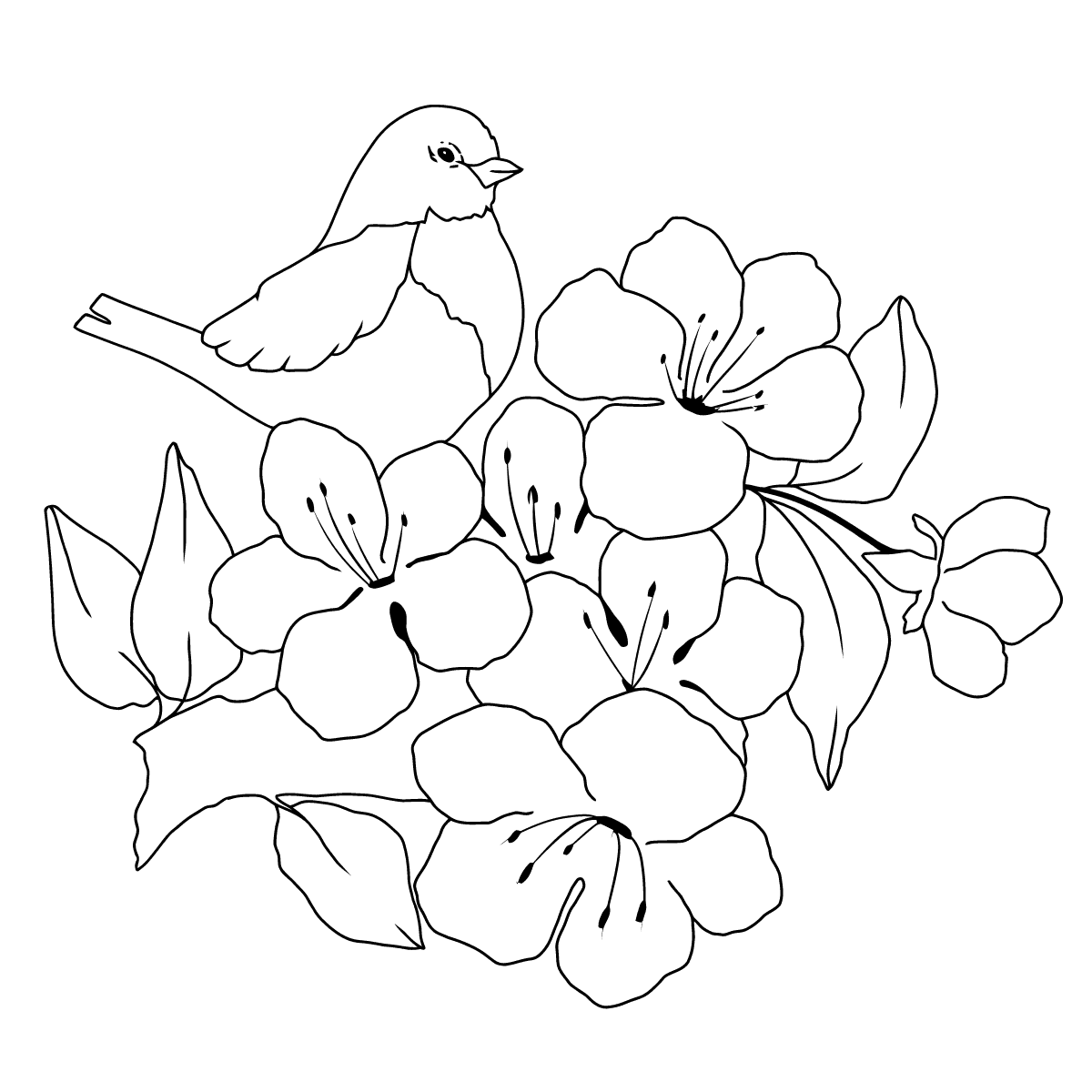 Summer and Birds coloring page ♥ Online and Print for Free