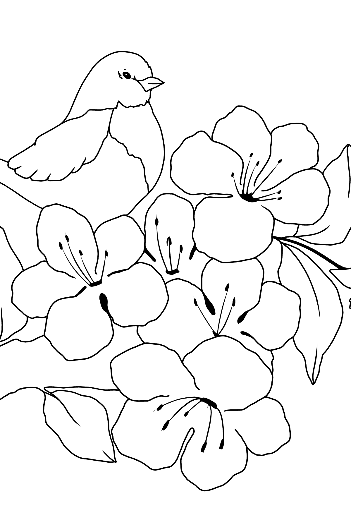 Summer Coloring Page - A Bird on a Branch with Flowers for Kids 
