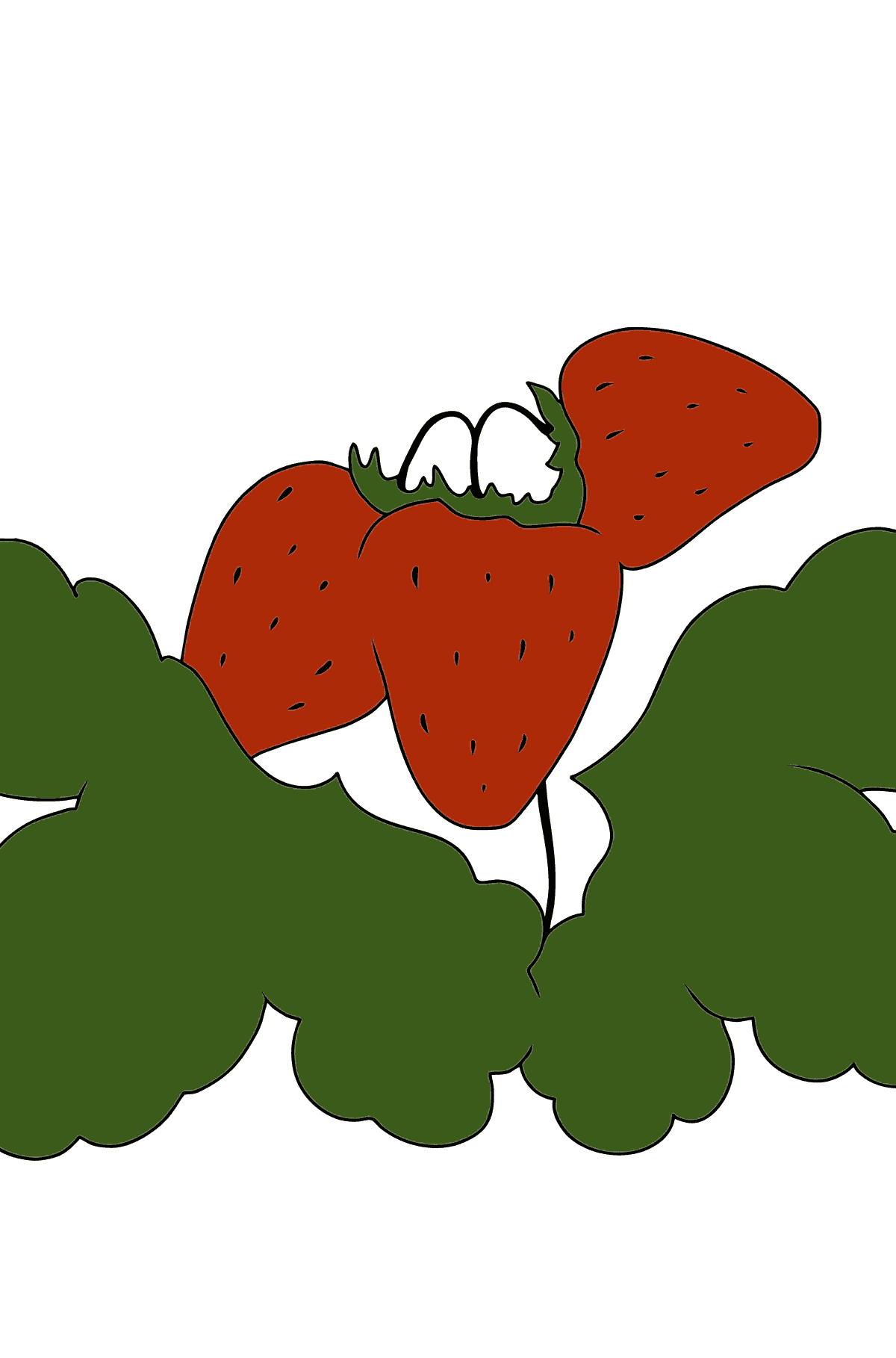 Desen de colorat căpșuni delicioase - Desene de colorat pentru copii