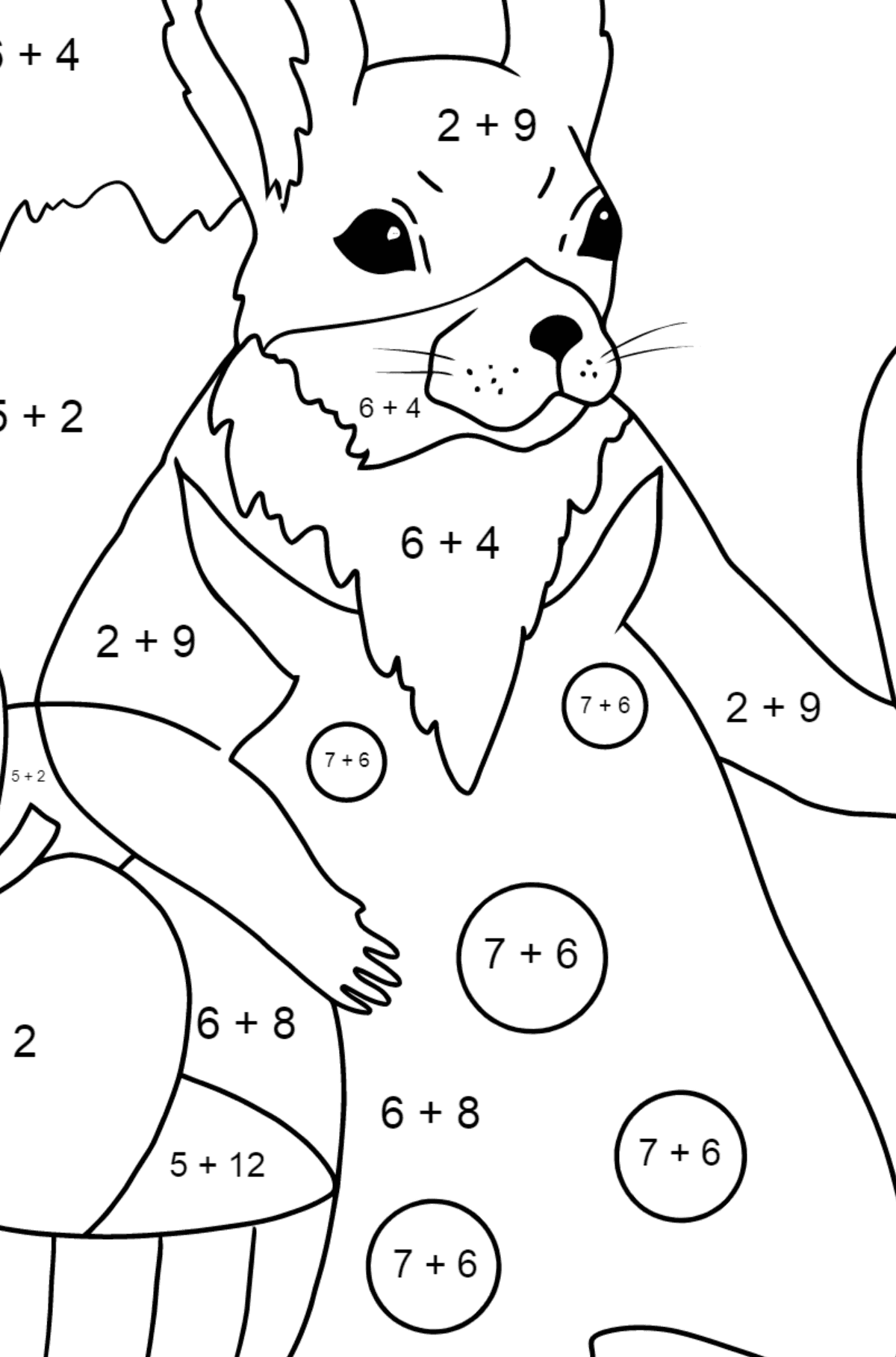Sommerfärbung - Eichhörnchen - Mathe Ausmalbilder - Addition für Kinder