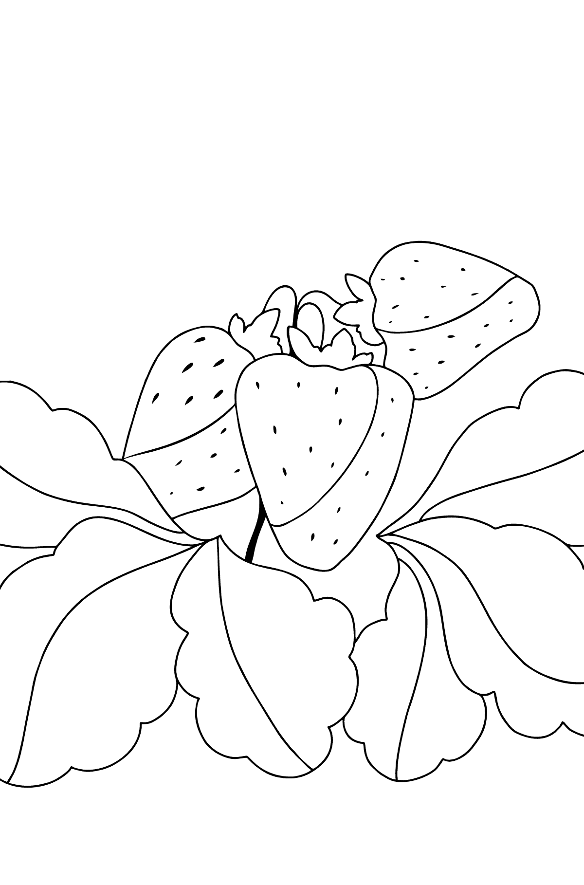 Summer coloring - strawberry - Coloring Pages for Kids