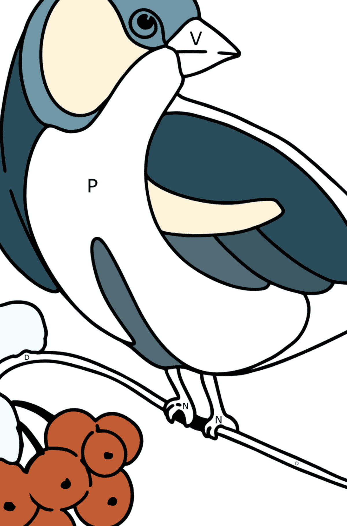 Coloring page - Titmouse on Mountain Ash - Coloring by Letters for Kids