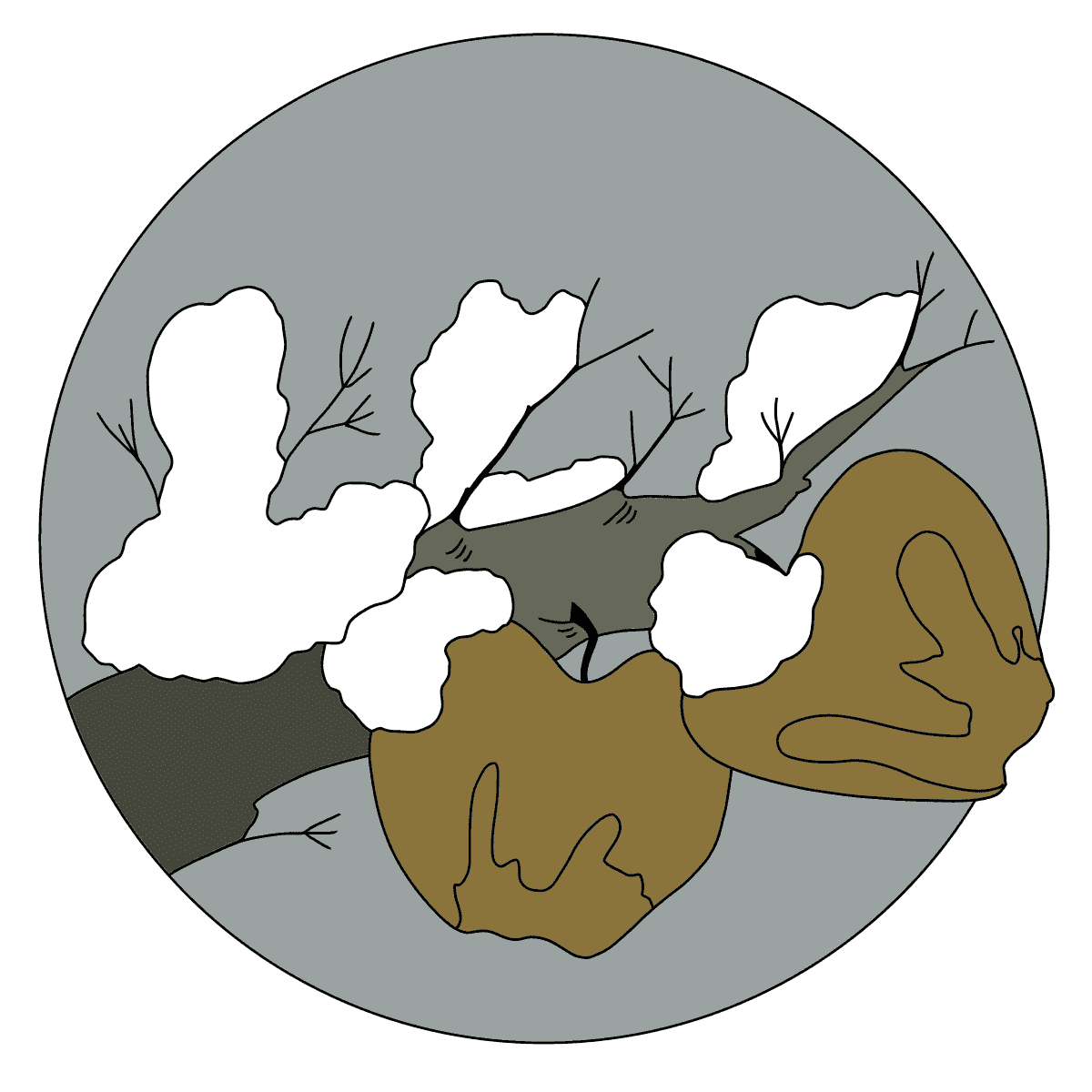 NOUVEAU