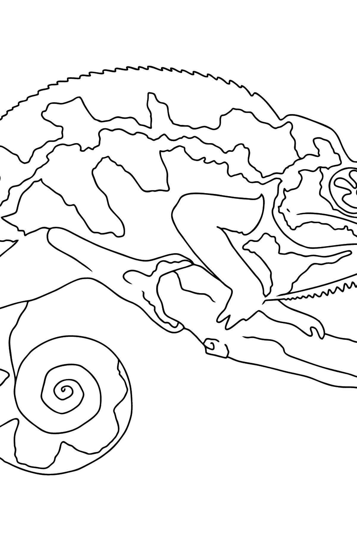 Coloring Page - A Chameleon is Having a Rest - Coloring Pages for Kids
