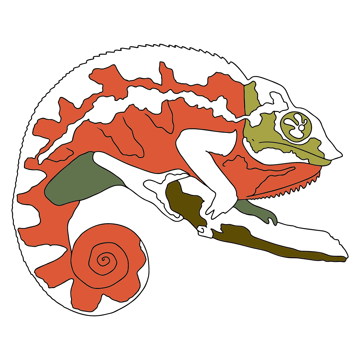 Coloriage De Cameleon Sur Une Branche A Imprimer Gratuit