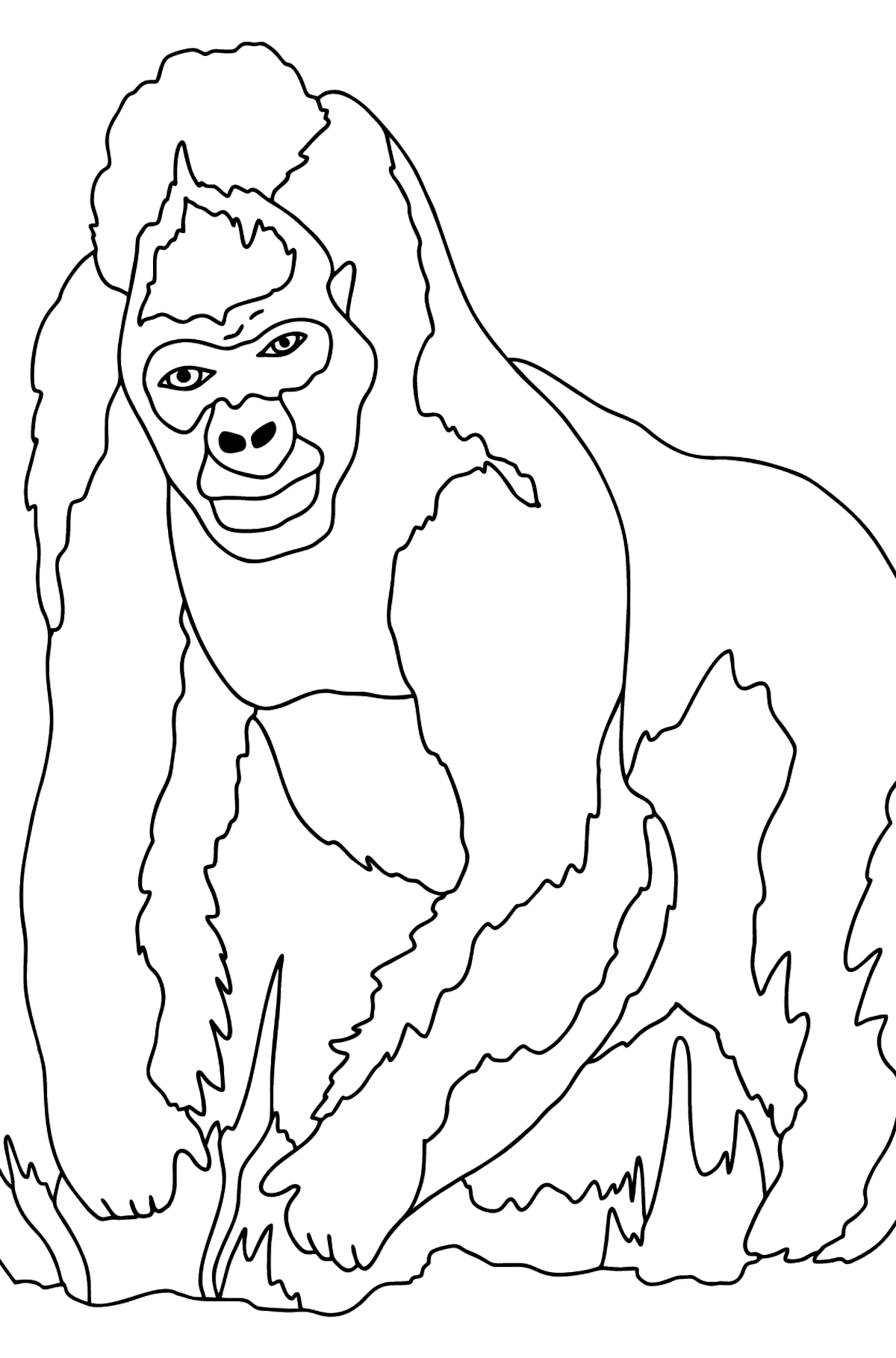 Ausmalbild - Ein behaarter Gorilla - Malvorlagen für Kinder