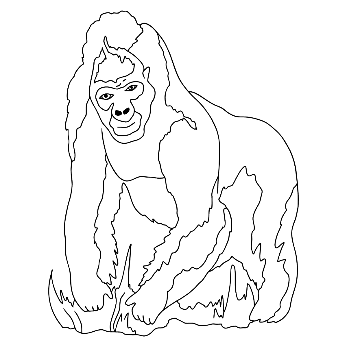 Энергетик горилла раскраска