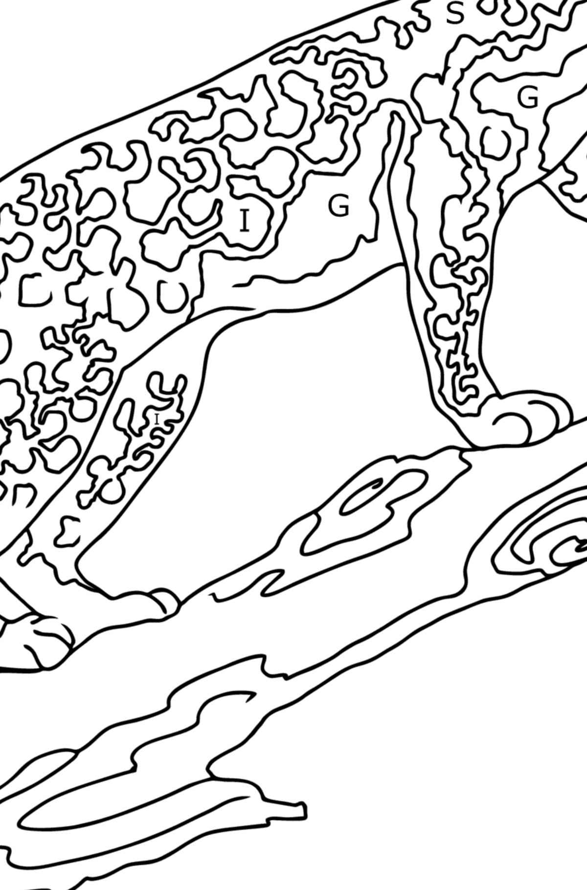 Desen de colorat leopard (simplu) - Desen de colorat după Literă pentru copii