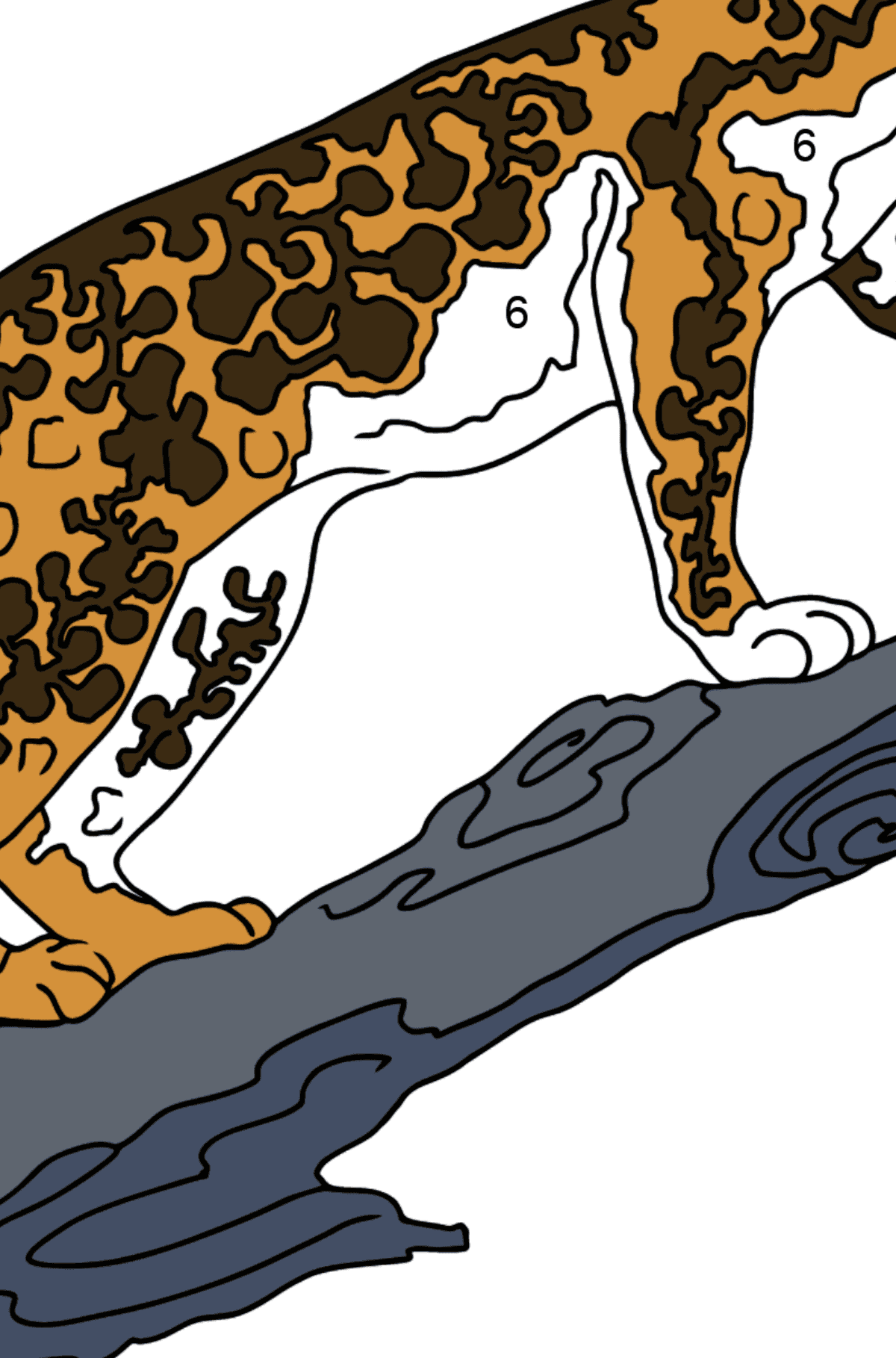 Coloring Page - A Leopard is Getting Ready for a Jump - Coloring by Numbers for Kids