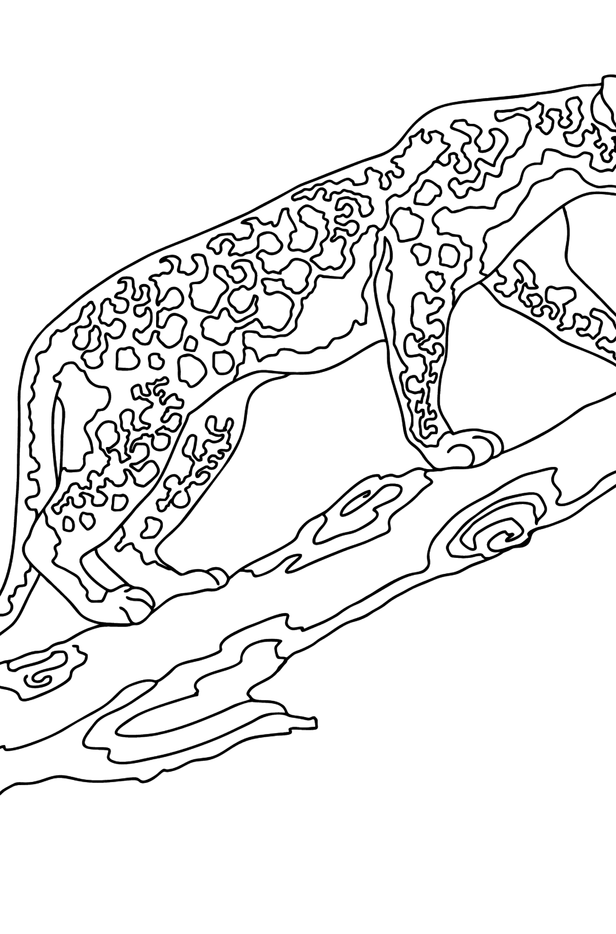 Coloring Page - A Leopard is on a Hunt - Coloring Pages for Kids