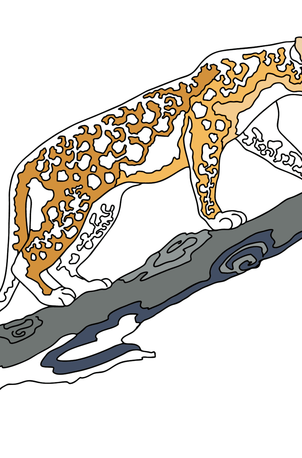 Coloring Page - A Multicolored Chameleon - Print for Free!