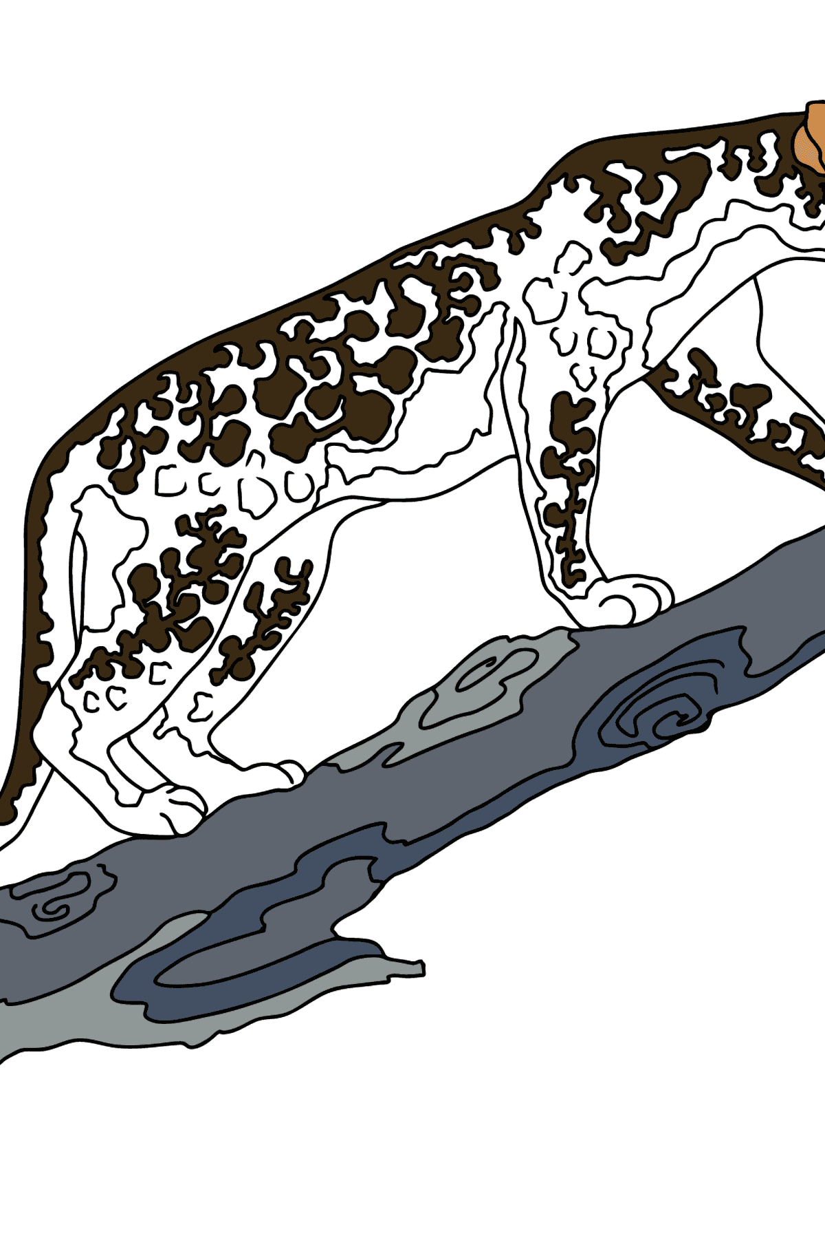 Coloring Page - A Leopard on a Branch - Coloring Pages for Kids