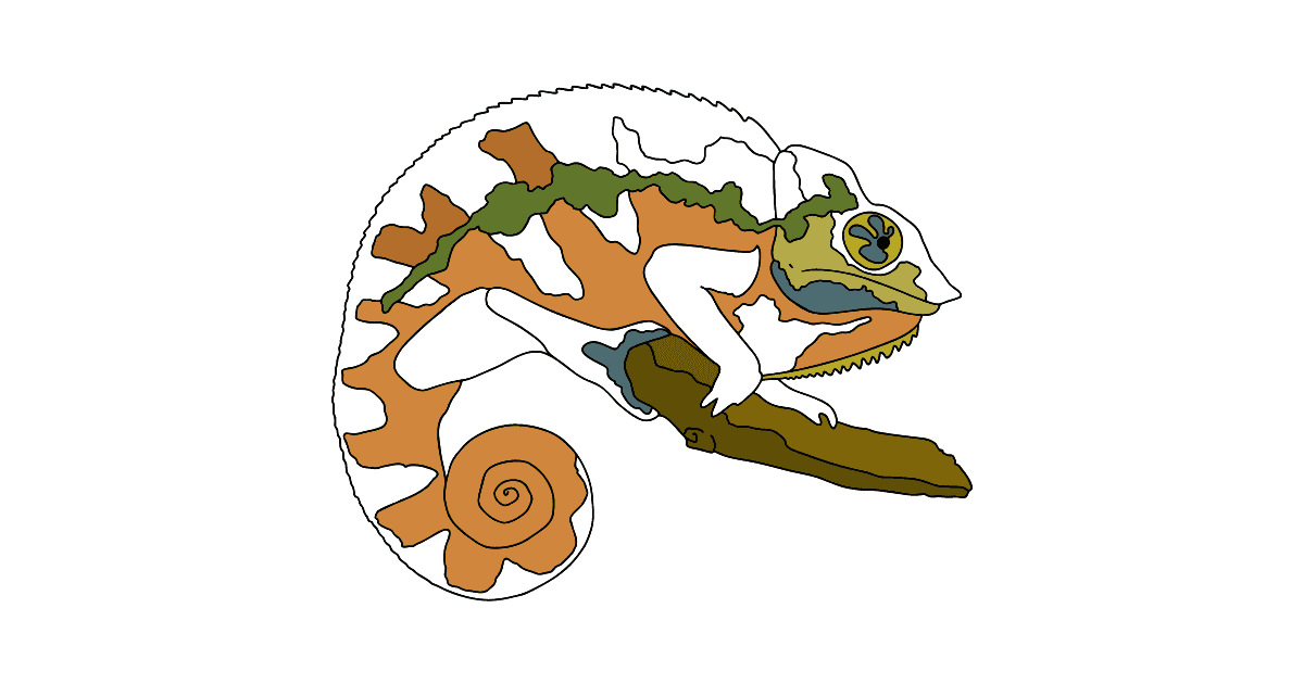 Gratuit Coloriage Un Cameleon Multicolore