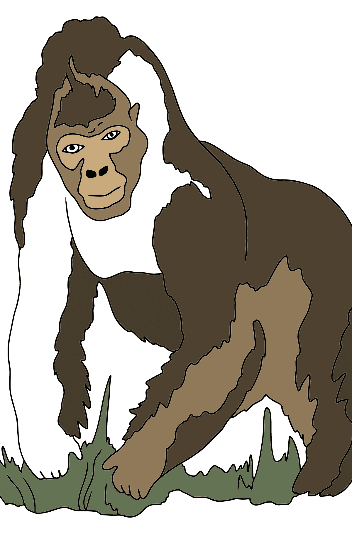 Ausmalbild - Ein echter Gorilla - für Kinder