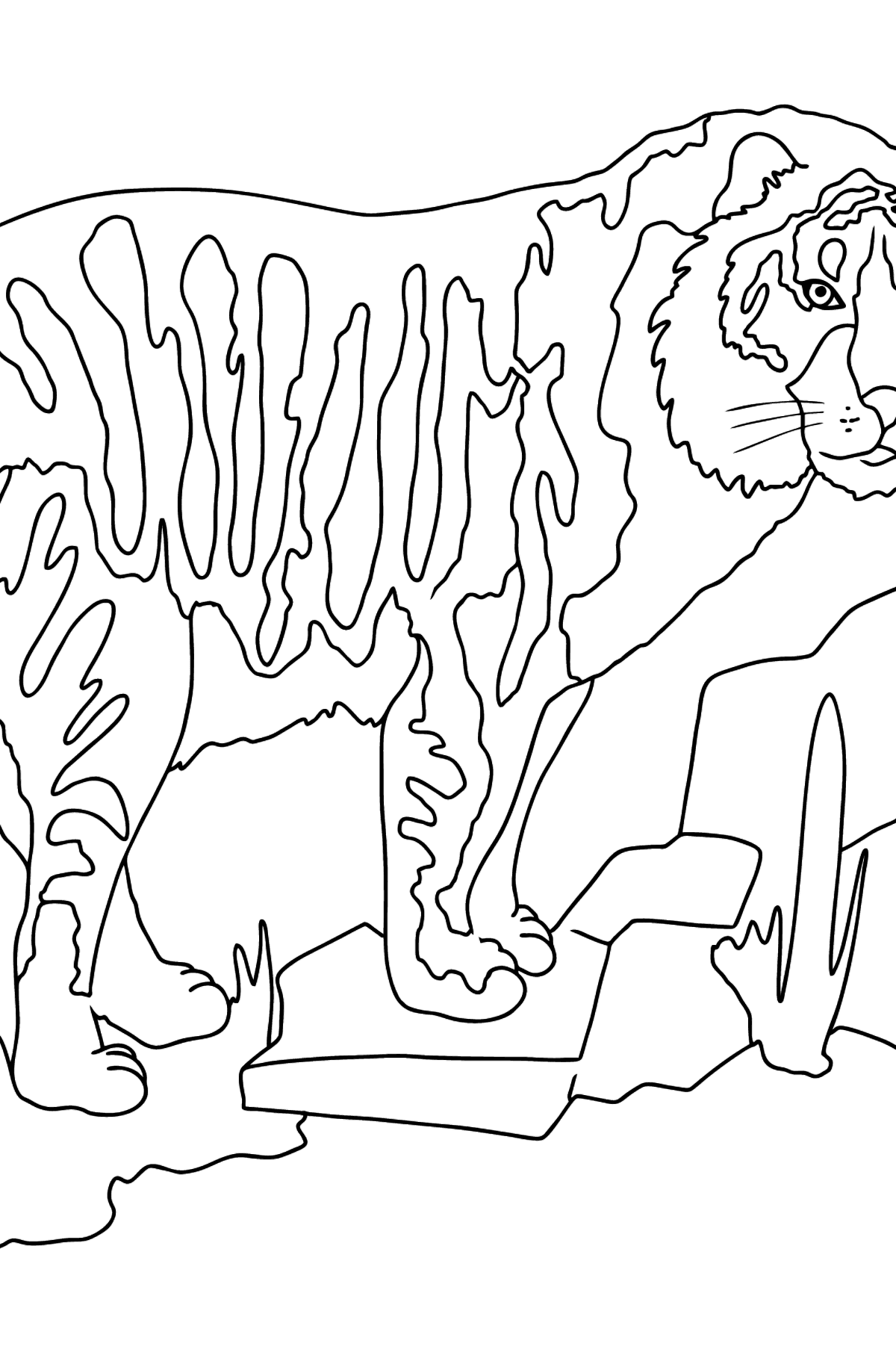 Coloring Page - A Tiger is Looking for Prey - Coloring Pages for Kids