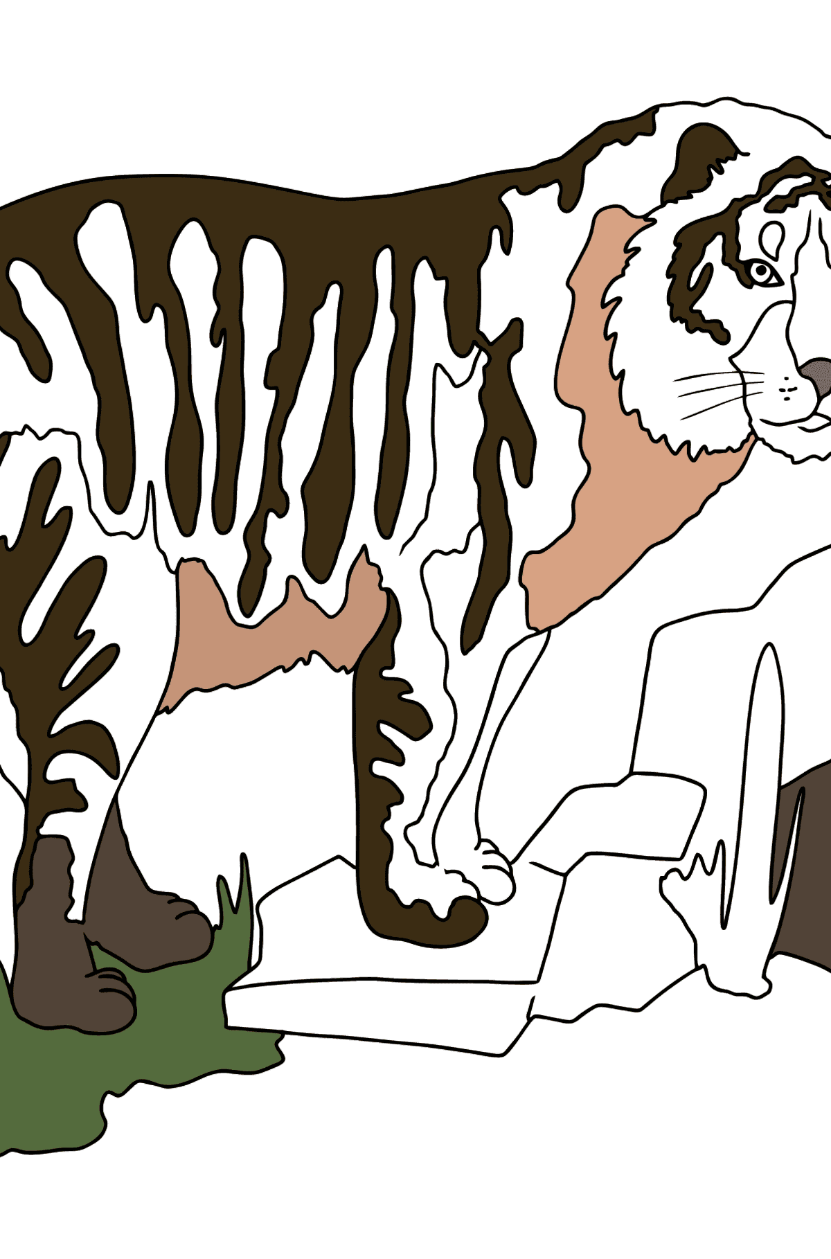 Dibujo para Colorear - Un Tigre Buscando una Presa - Dibujos para Colorear para Niños