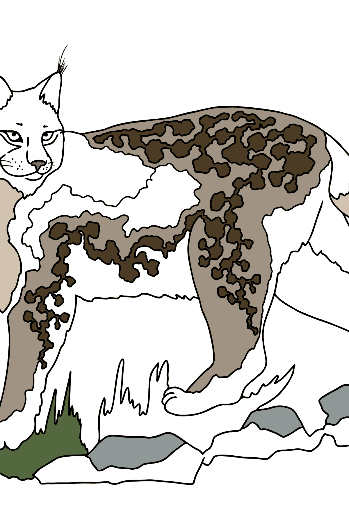 Раскраска Рысь (сложно) - Картинки для Детей