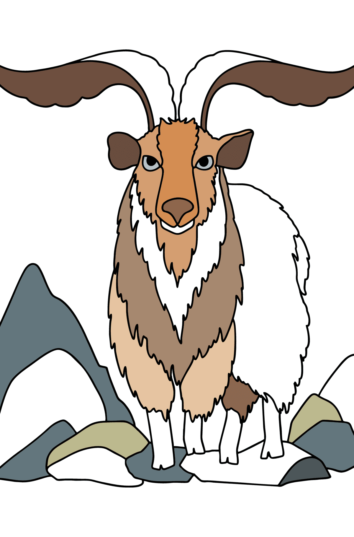 Раскраска Животное Тур - Картинки для Детей