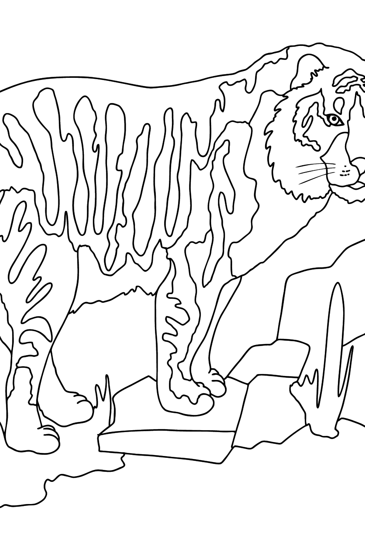 Complex Coloring Page - A Tiger is Looking for Prey - Coloring Pages for Kids