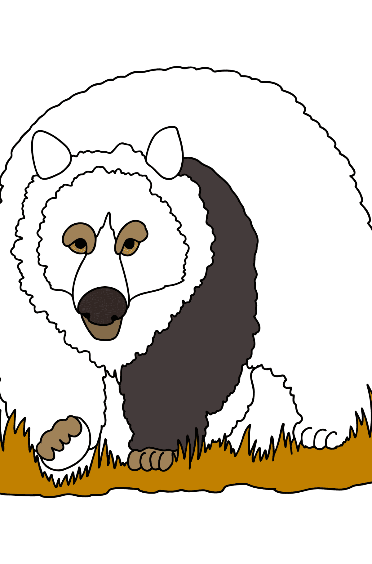 Раскраска Гризли в Азии - Картинки для Детей