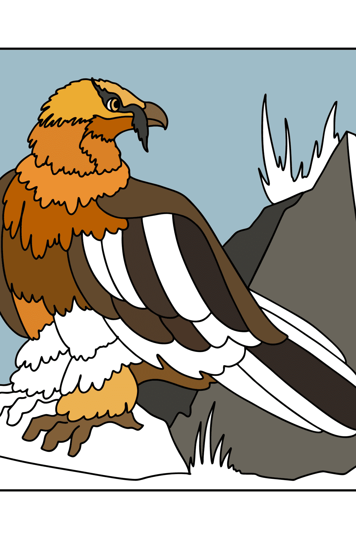 Раскраска Ястреб Бородач - Картинки для Детей