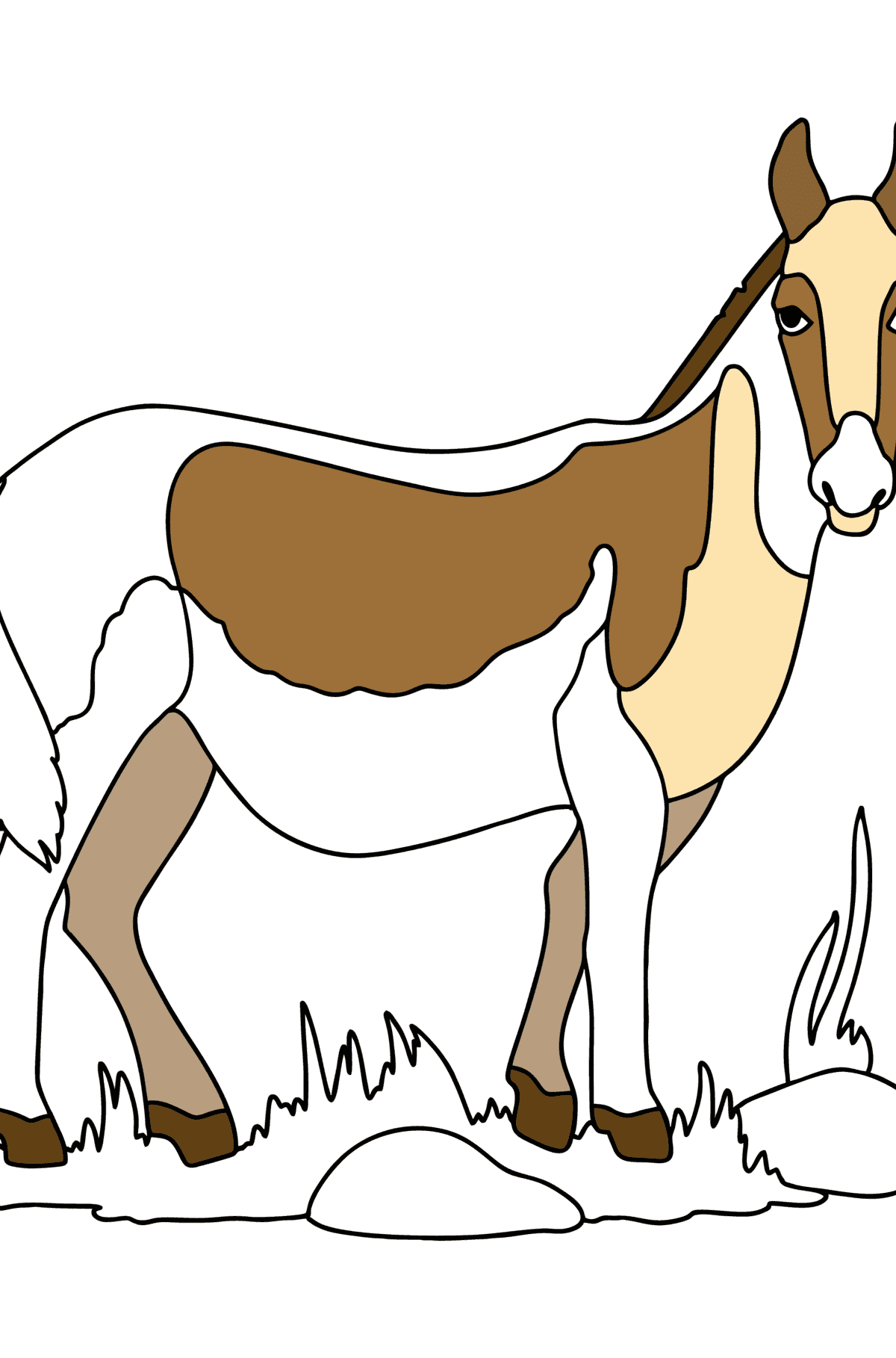 Desen de colorat Kiang în Asia - Desene de colorat pentru copii