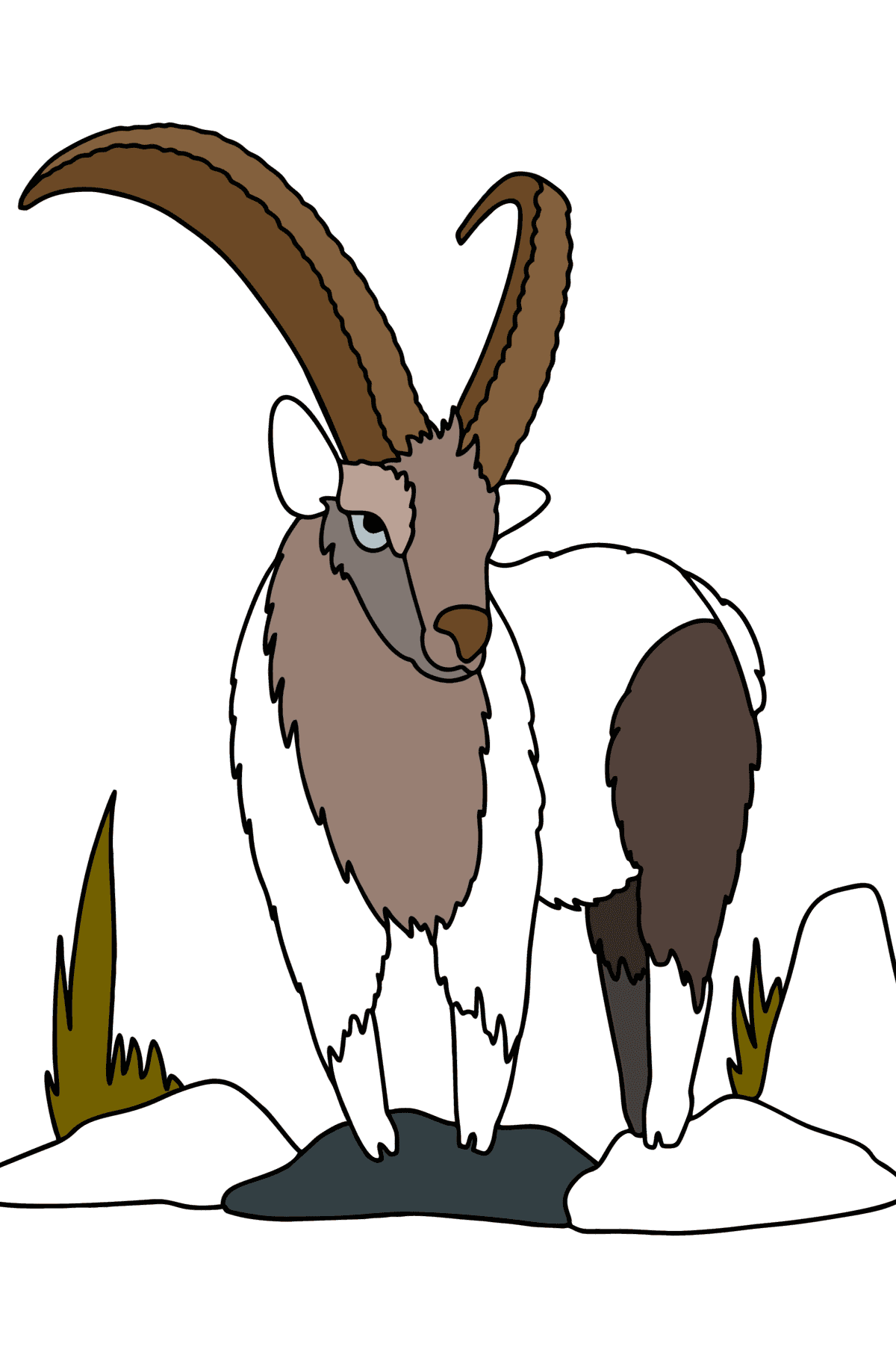 Desen de colorat Capra de munte siberiană - Desene de colorat pentru copii
