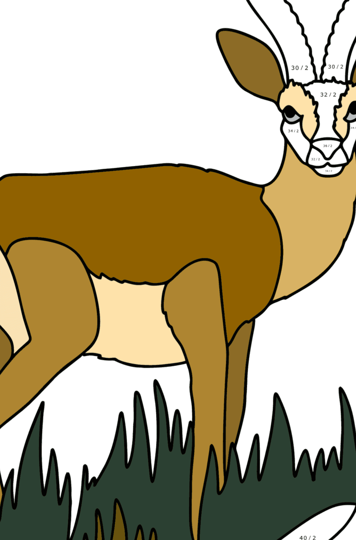 Tibetan Dzeren сoloring page - Math Coloring - Division for Kids