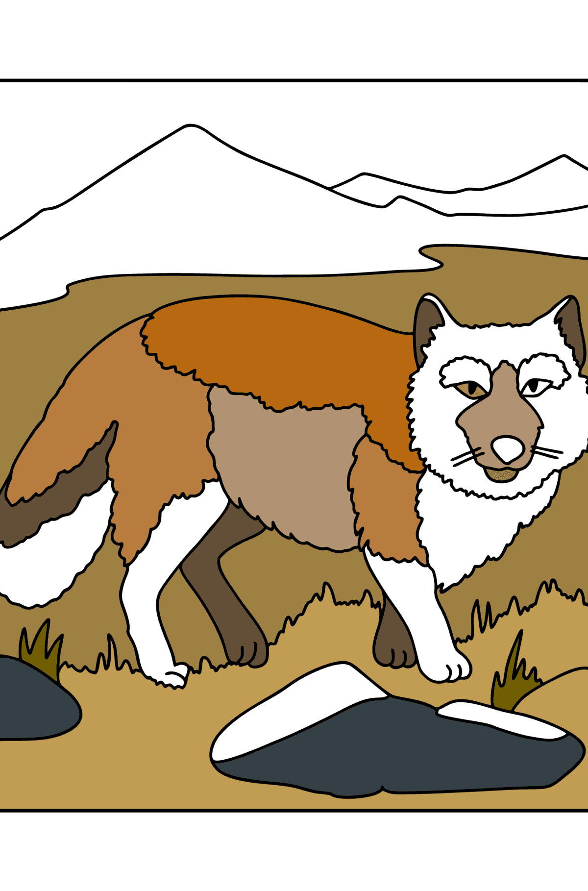 Coloriage Renard tibétain - Coloriages pour les Enfants