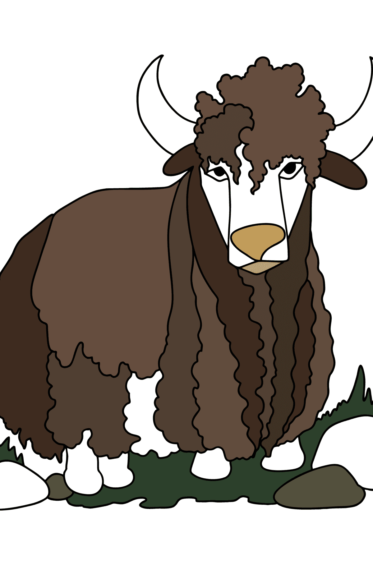 Раскраска Дикий Як в Азии - Картинки для Детей