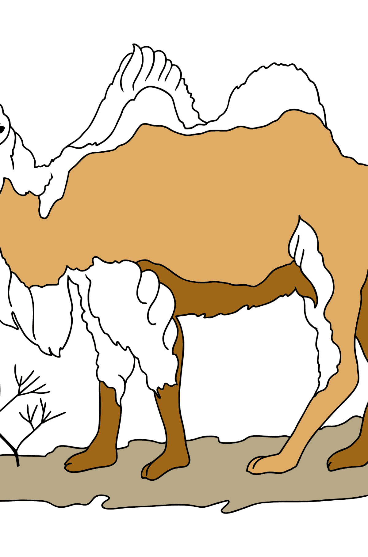 Ausmalbild - Ein Kamel in der Wüste - Malvorlagen für Kinder