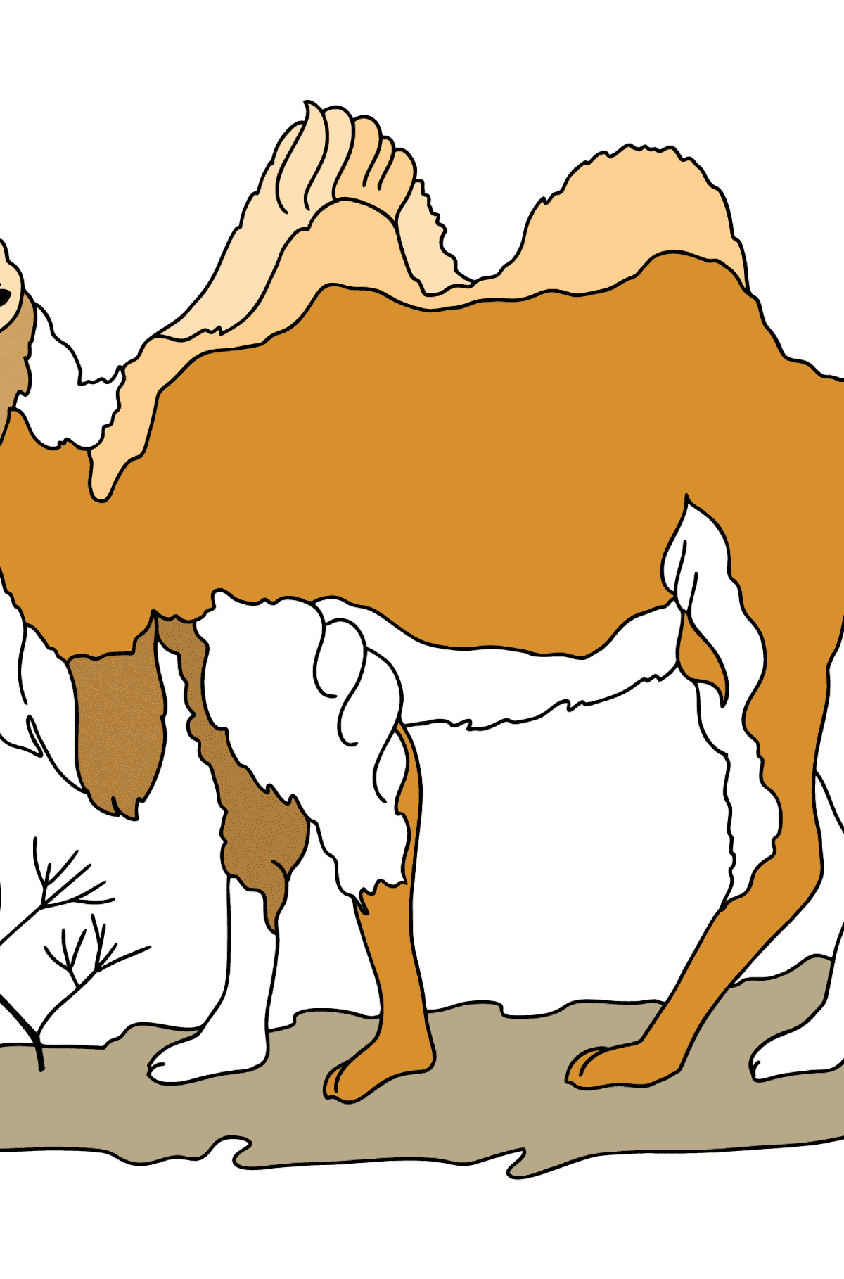 Desenho de camelo para colorir (difícil) - Desenhos para Colorir para Crianças