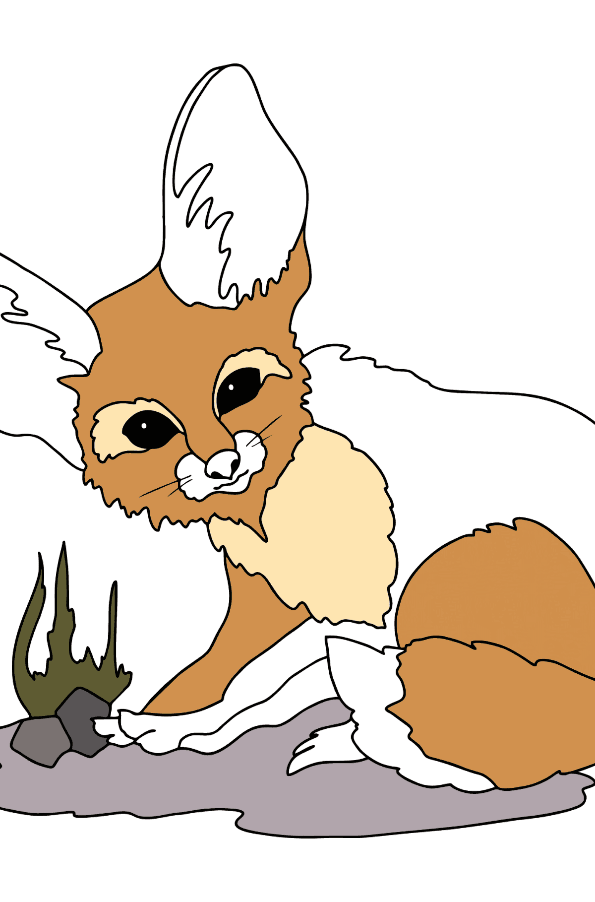 Desenho de raposa Fennec para colorir (difícil) - Desenhos para Colorir para Crianças