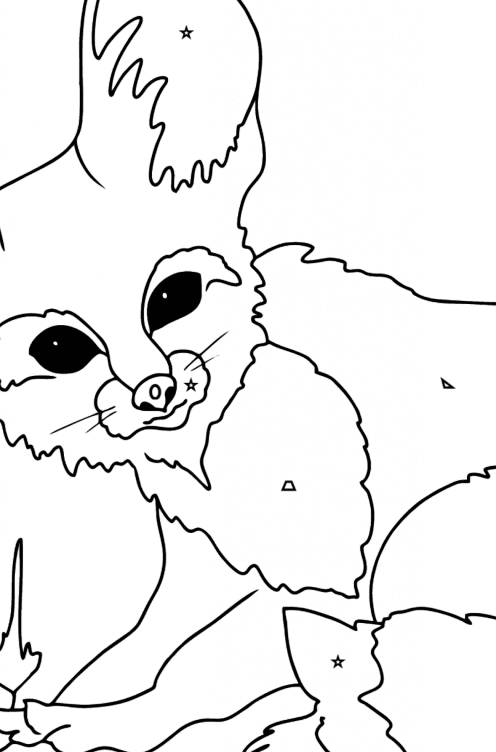 Coloring Page for print - A Fennec Fox or a Tiny Fox