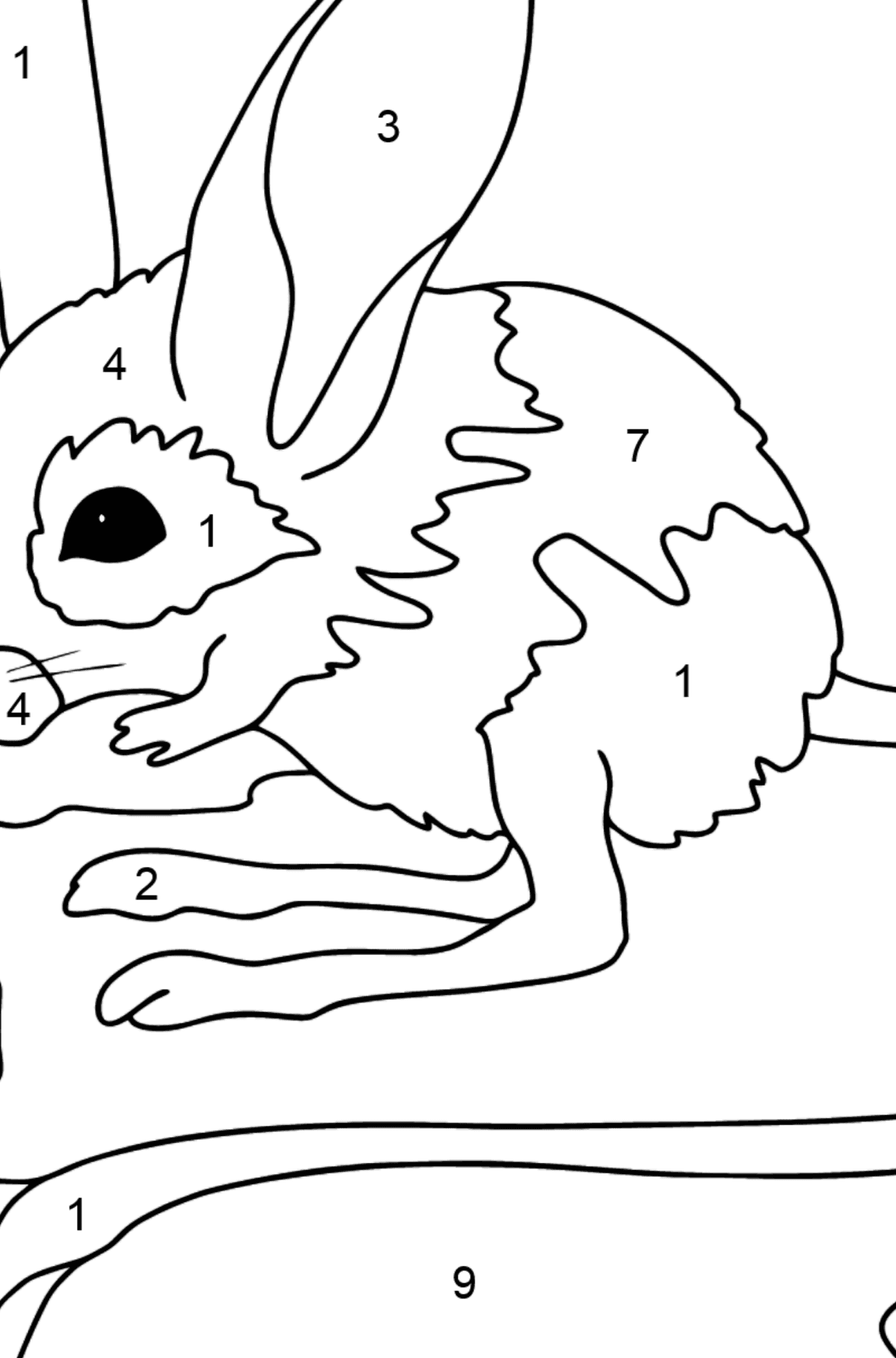 Desen de colorat iepure de pământ (dificil) - Desen de colorat după Număr pentru copii