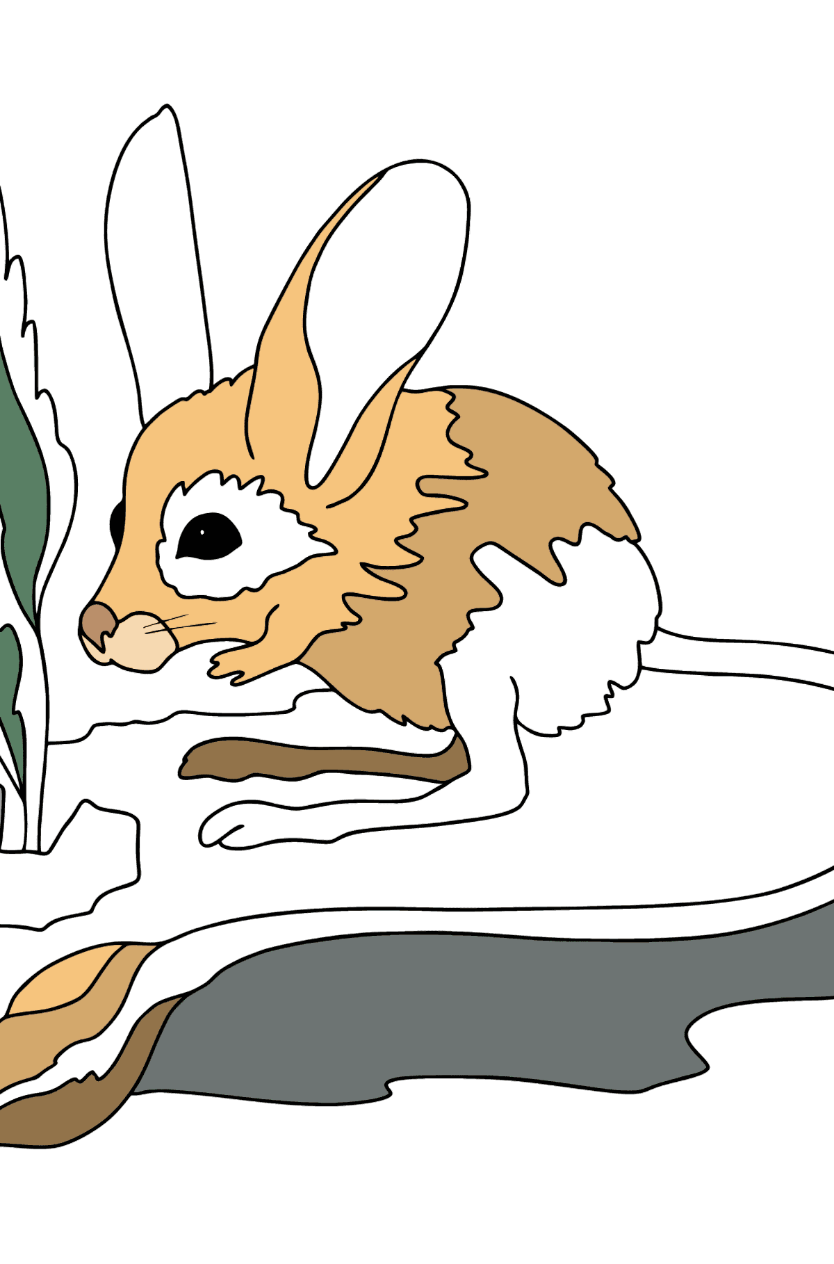 Coloring Page - A Jerboa is Looking Scared - Coloring Pages for Kids