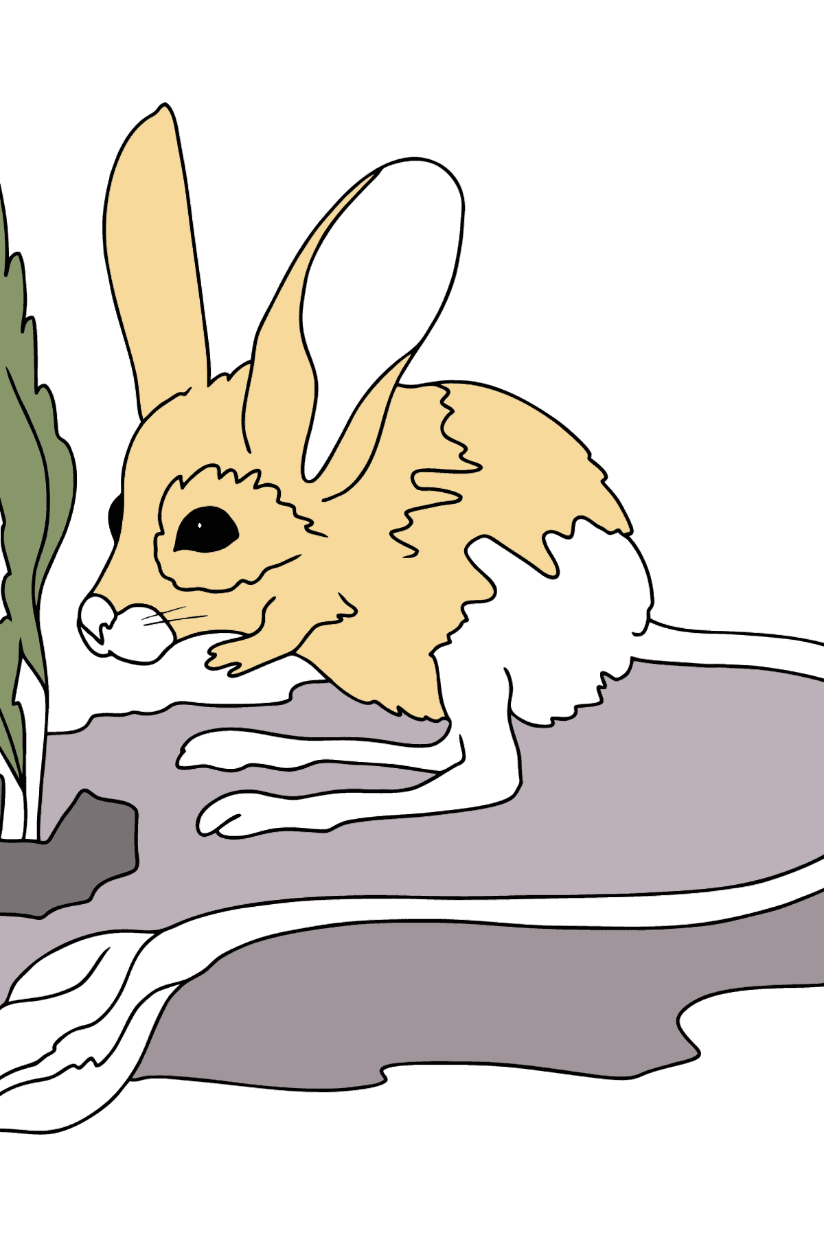 A Jerboa is Standing on its Long Hind Legs Coloring Page - Coloring Pages for Kids