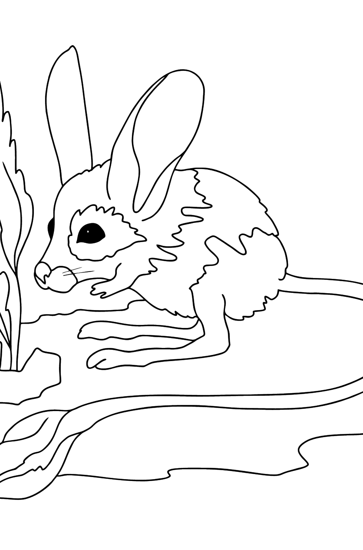 Розмальовка Земляний заєць - Розмальовки для дітей