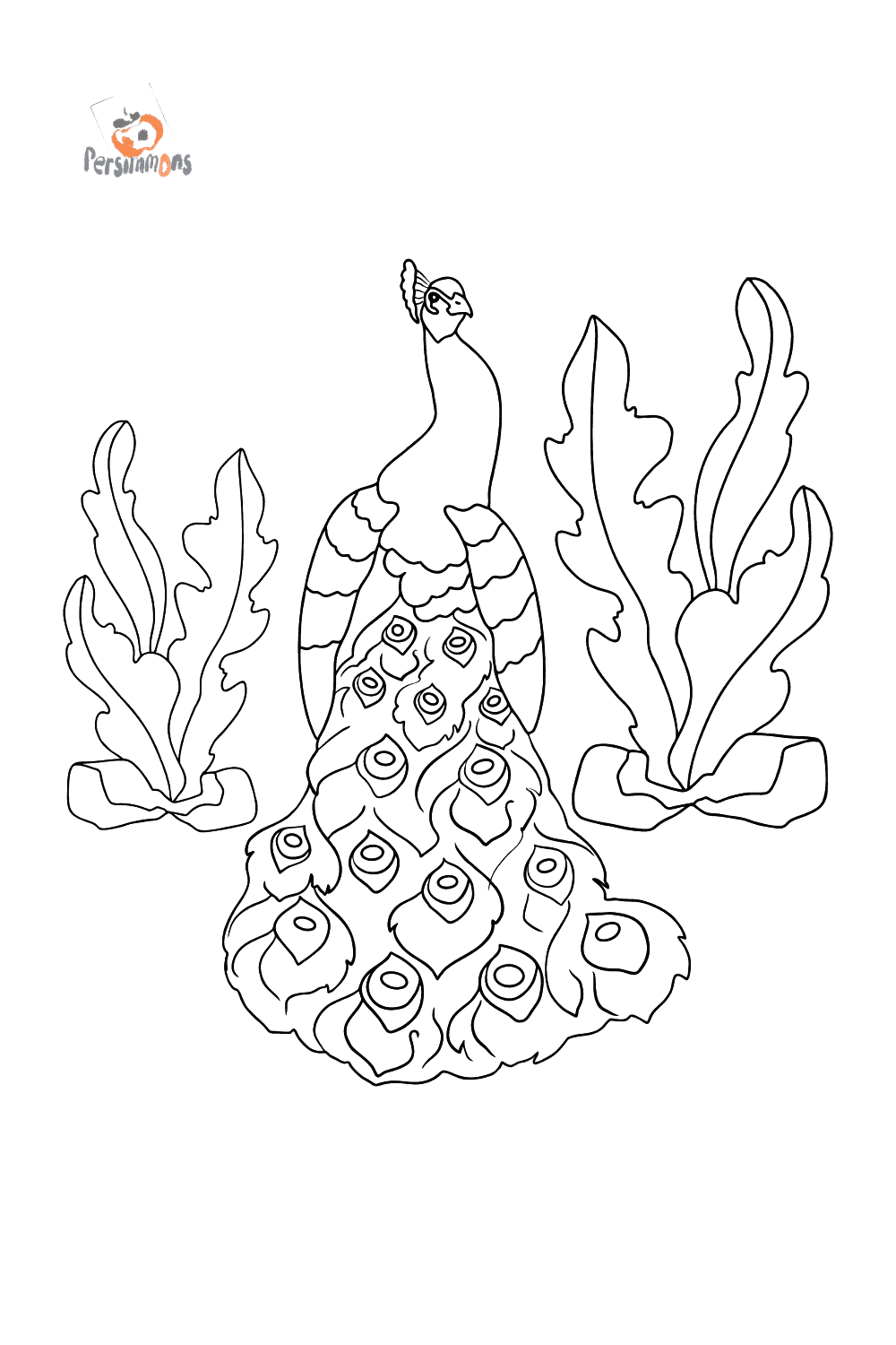 A Peacock Coloring Page Printable fo free