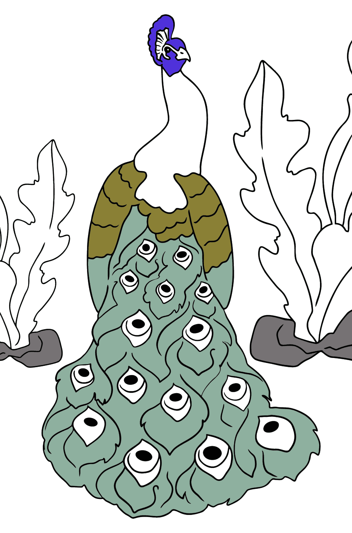 Desenho de pavão para colorir (fácil) - Desenhos para Colorir para Crianças
