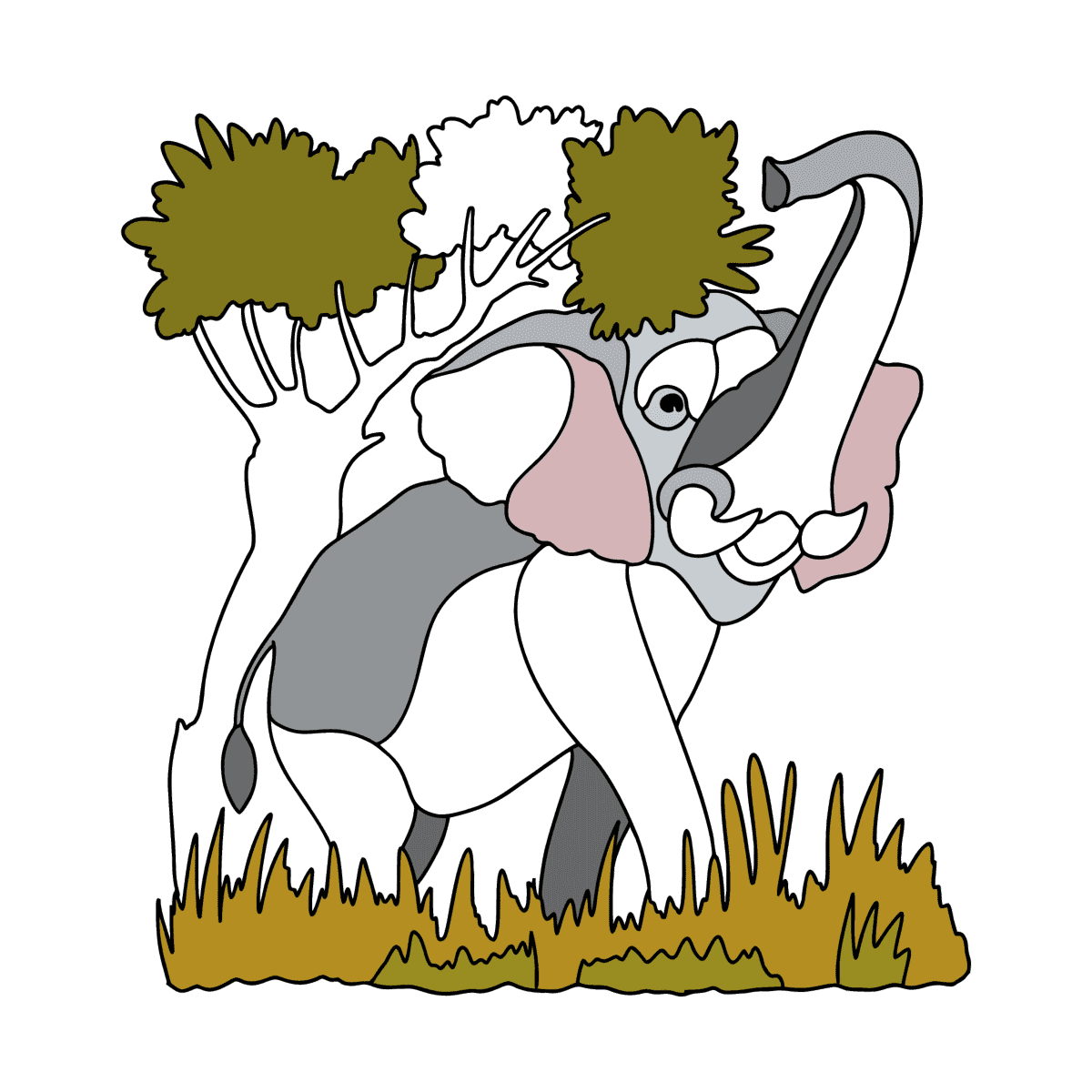 NUEVO
