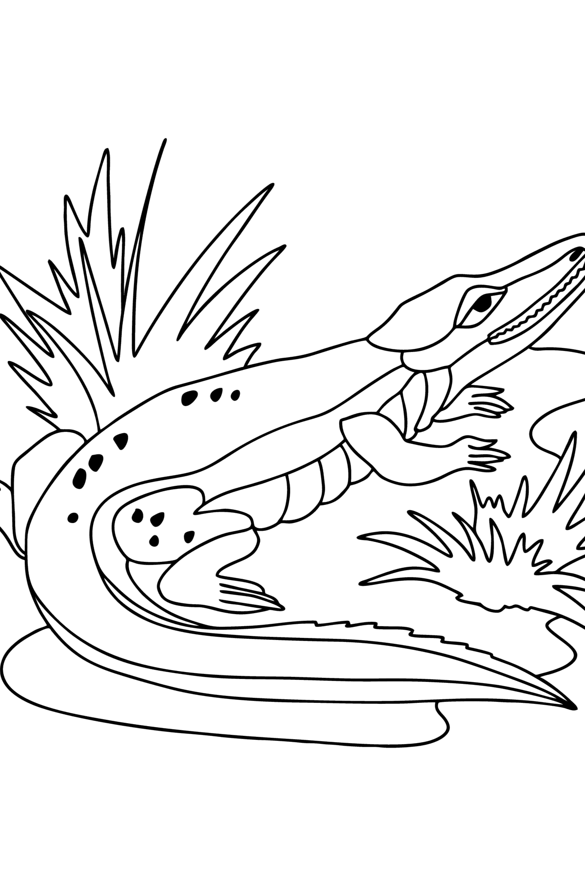 Раскраска Крокодил Джунгли - Картинки для Детей