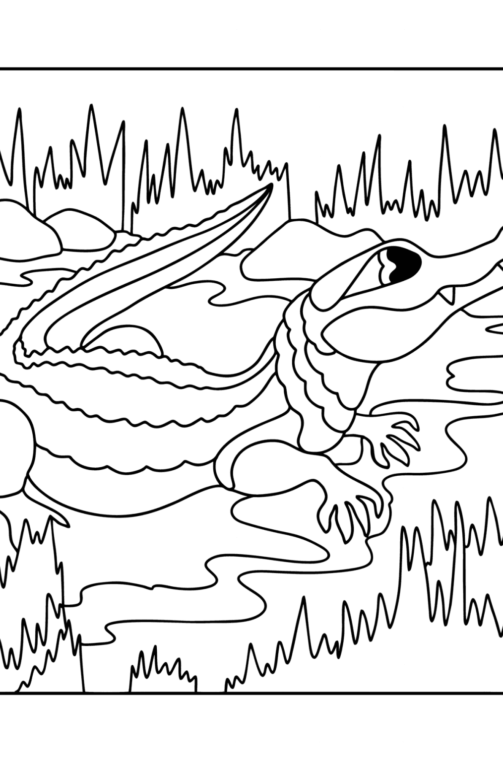Målarbild Sötvatten krokodil ♥ Måla Online och Skriv ut Gratis!