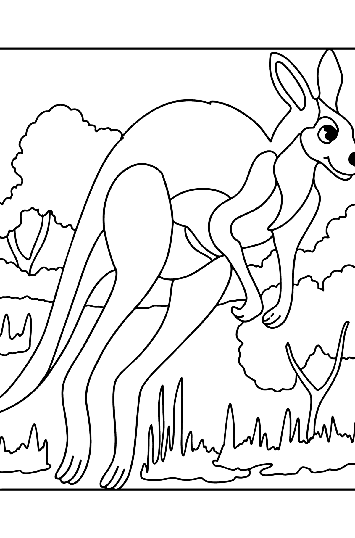 Tegning til fargelegging Grå kenguru - Tegninger til fargelegging for barn