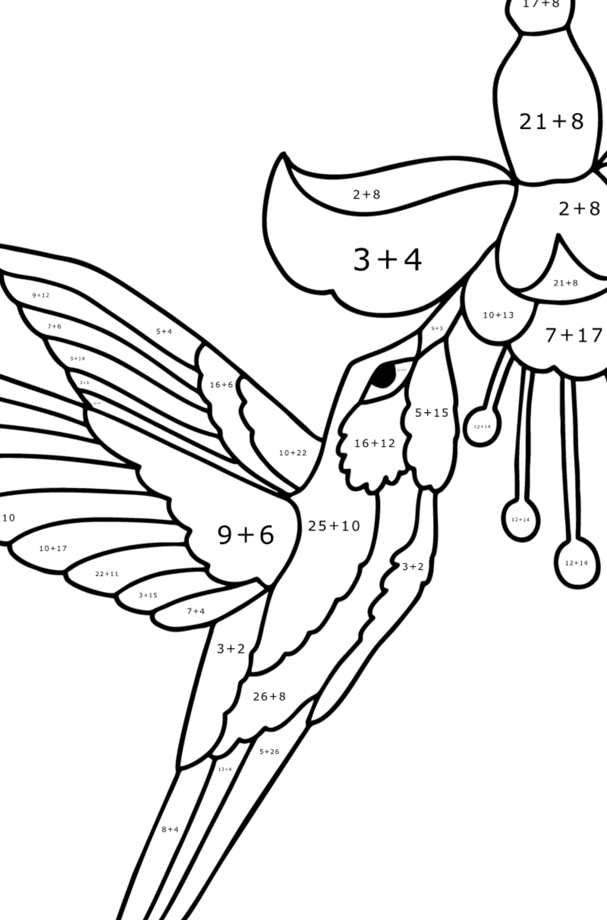 Kolibri dzsungel kifestő - Matematikai színezés - összeadás gyerekeknek