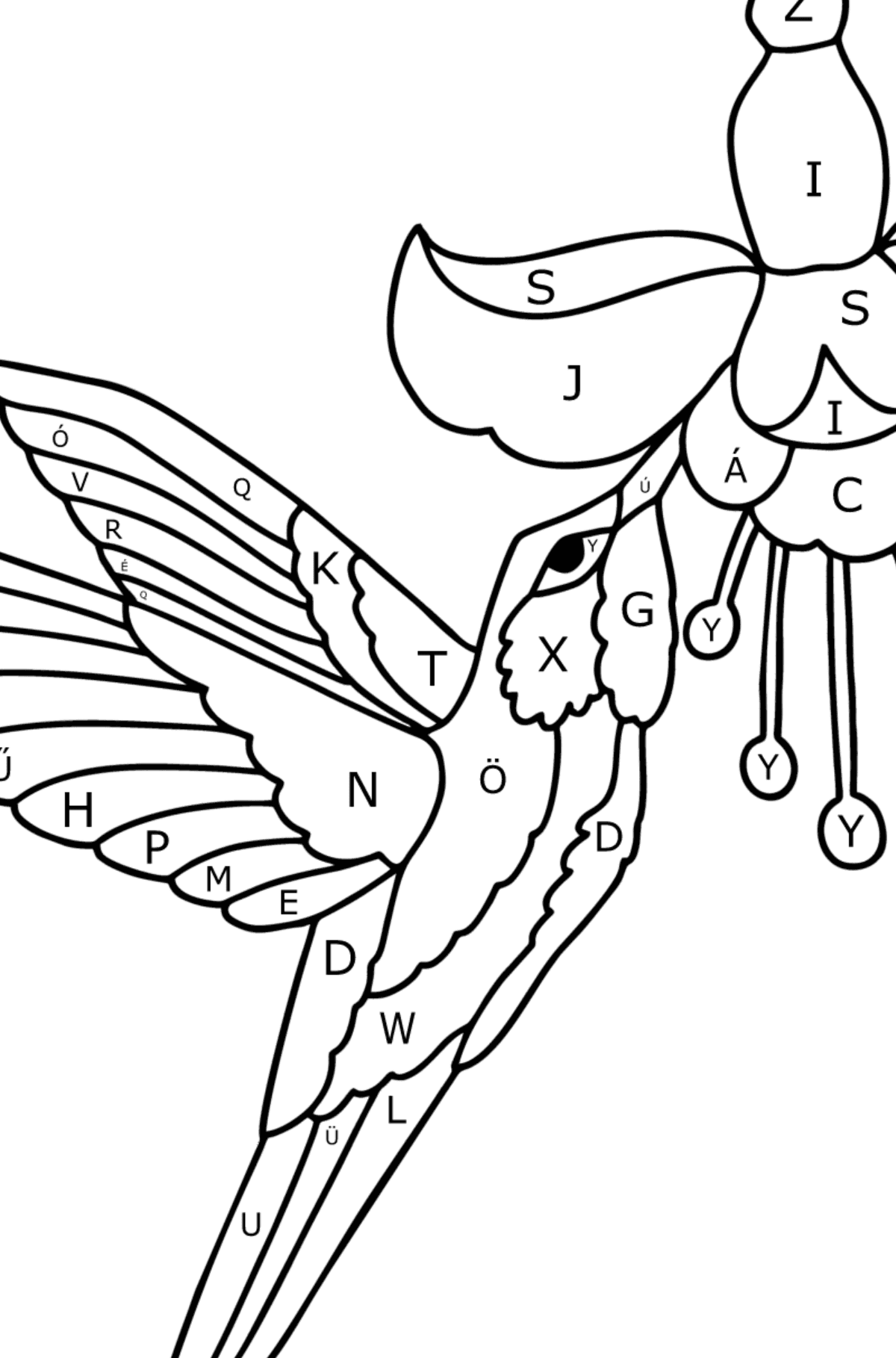 Kolibri dzsungel kifestő - Színezés betű szerint gyerekeknek